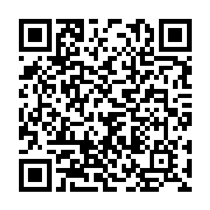 家里唯一一个支持郑衍抱太子大腿的正是她自个儿二维码生成