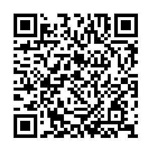 家里面的两个活祖宗不仅仅是我爸和我妈的宝贝二维码生成