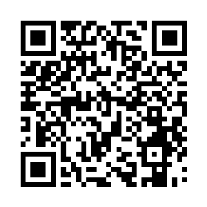 家里面这颗大树的根基都已经出现了问题二维码生成