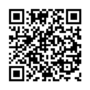 容不下参天大树……精致盆栽不是你的道二维码生成