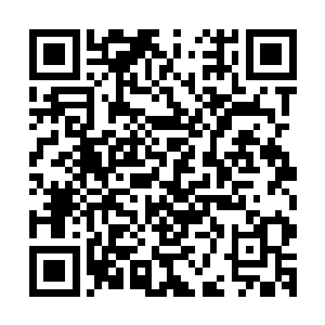 容世杰和白骨老魔都铁了心要让容易经历那种彻头彻尾的绝望二维码生成