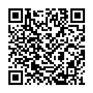 密密麻麻的几乎是里三圈外三圈的包围着星天界二维码生成