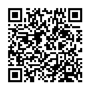 密密麻麻的圣地弟子整齐地向着许紫烟施礼拜道二维码生成