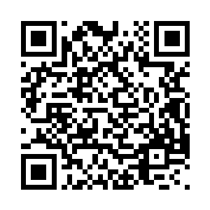 密密麻麻的紫宵神雷不停地轰击着山峰二维码生成