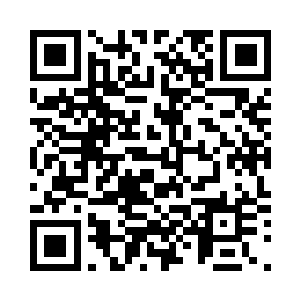 密密麻麻羽毛如同利箭一般狂射而出二维码生成