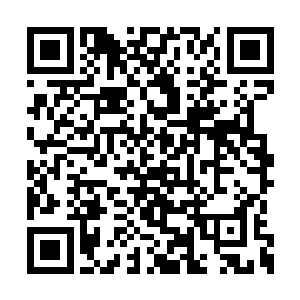 密山洞的那名尊者看了一眼自己身边的另外一人二维码生成