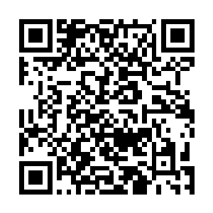 寇铮收到眼色立刻意识到了苗毅可能没把这事告诉云知秋二维码生成