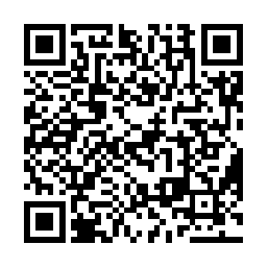 富丽堂皇的双层大厅包含了吃喝玩乐一条龙的各种服务二维码生成