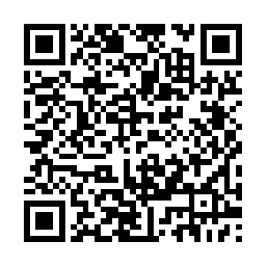 寒光刺客也只能再次开始咒骂那个坑了他的女巫了二维码生成