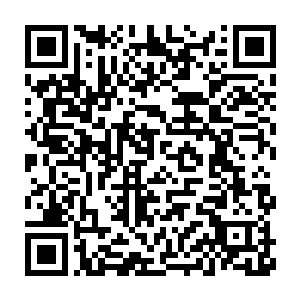 寒林不知道鼓足了多大的勇气才亲口说出用航海图换落脚地的要求二维码生成