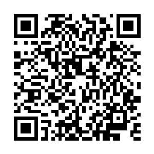 寒紫晴……第三个任务……帮我保……保大周……三年二维码生成