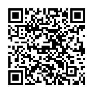 寒菲樱被迫在与萧天熠狼狈为歼的道路上越走越远二维码生成