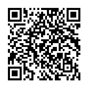 察尔科夫斯基的私人飞机很有可能已经引起了刺杀者的注意二维码生成