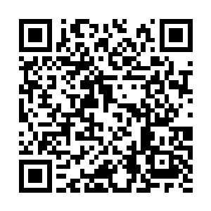 对东方大陆周围那些中小次大陆的一次收割的机会二维码生成