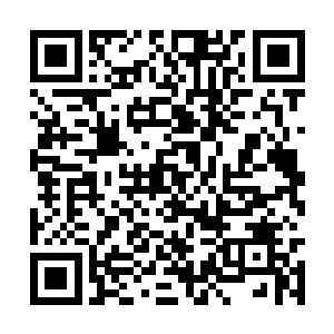 对中国电影市场在今年的发展寄予了极大厚望的人二维码生成