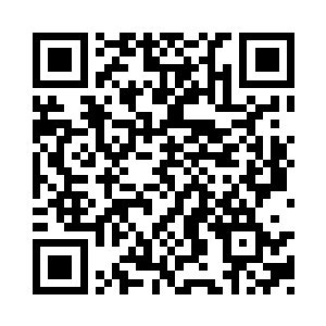 对于丁丁来说每一个动作都是如此的熟悉亲切二维码生成