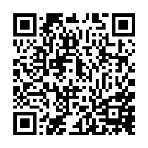 对于丹药的评审已经正式交到了寒丹和药丹云的手里二维码生成