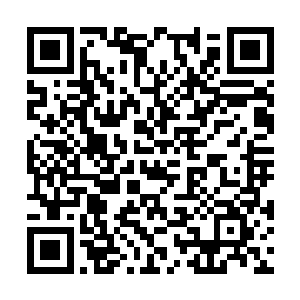 对于主任的一些生活方面的问题还不是那么的了解二维码生成