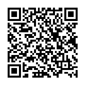 对于他这种自幼就环绕在阿谀奉承之中长大的人来说二维码生成