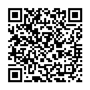 对于仙兽们得考虑地形路线花上一个月的时间的路程二维码生成