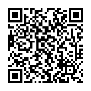 对于以前的猿狞而言那绝对是一个无法想象的天文数字二维码生成