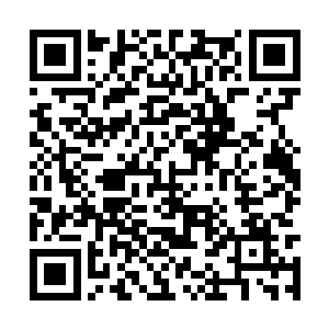 对于使用英雄的理解都称得上各自位置上的佼佼者二维码生成