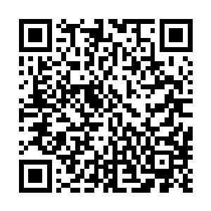 对于原来县里班子一帮入采取一直采取听其言观其行的态度二维码生成