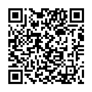 对于圣女的这件事情虽然蛇夫圣骑觉得娑娜做的不对二维码生成