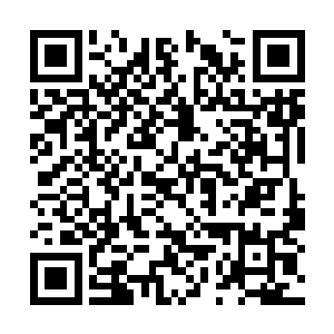 对于太虚这个傻缺竟然拖了两头弹簧鹿回来当坐骑二维码生成