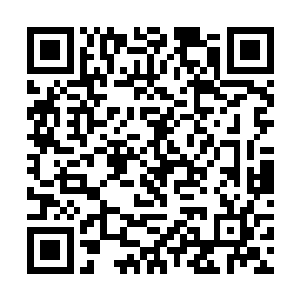 对于女国王和龙傲天的出现也只是抬起眼皮看了一下二维码生成