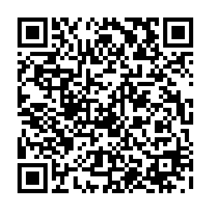 对于她来说只有手指大的阿红在看到她的正脸的时候那突然惊呆了的模样二维码生成