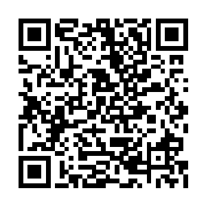 对于家中那些个继承人都有持久不断的审视权衡二维码生成