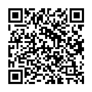 对于属于自己的主角世界的影响就像是做了一场梦一样二维码生成