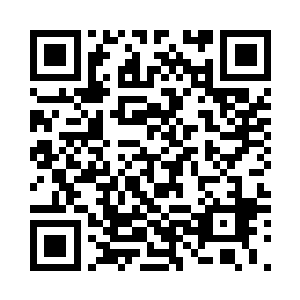 对于我的训练结果估计你也会满意的二维码生成