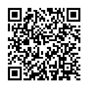 对于水手来的如果能有这一群虎鲸在水里愿意帮着自己二维码生成