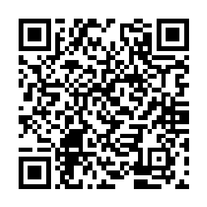 对于火药弹的恐惧似乎已经铭刻在了李清的灵魂上二维码生成