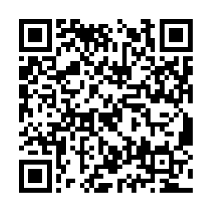对于牛顿陈小练其实心中一直有着一丝隐隐的愧疚二维码生成