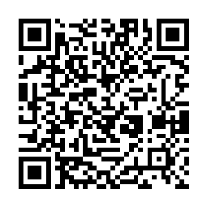 对于神界的亲人龙傲天的心中也是充满了无边的思念二维码生成