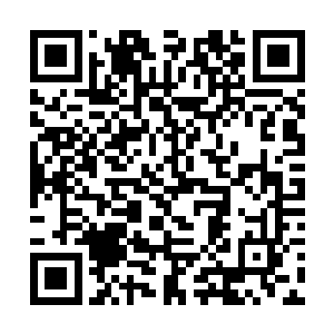 对于背负着害死了丽妃肚子里没出生孩子的罪名的我二维码生成