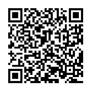 对于能制造出一条半成体曼克斯特巨蛇的巫师实验室来说二维码生成