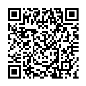 对于自己抛出的橄榄枝肯定是屁颠屁颠的来讨好二维码生成