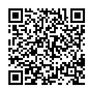 对于自己这个温柔似水的冰茶师姐流清茶可是没一点抵抗意思二维码生成