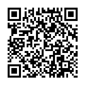 对于袁鸿能够开口说话杨戬倒也没有太过于惊讶二维码生成