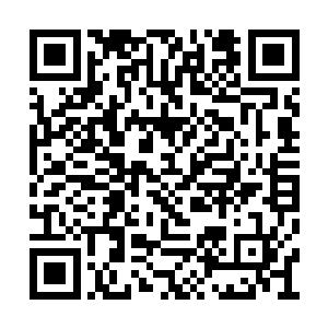 对于跨界传送阵龙傲天了解的显然也并不是太多二维码生成