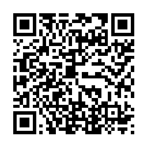 对于这个苏凡从来没想过这小丫头竟然会知道的这么多二维码生成