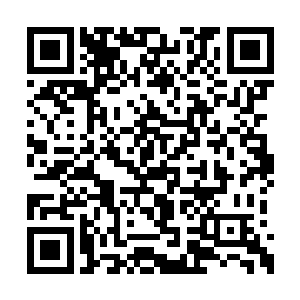 对于这些力量的理解和运用也很难超过被模拟者二维码生成