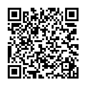 对于这样突如其来的指责贝海一点儿兴趣都没有忍下来二维码生成