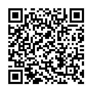 对于这种外来的规则强者的压制简直到了一个恐怖的程度二维码生成