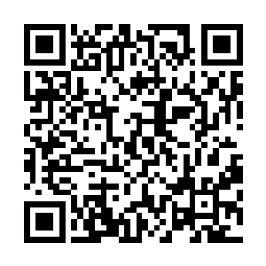对于陆为民这突如其来的要到泊头镇老街上来溜达这么一圈二维码生成