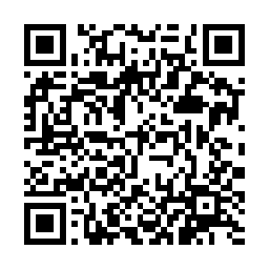 对于雨果的赞誉之声都犹如盛夏七月的阳光普照一般二维码生成